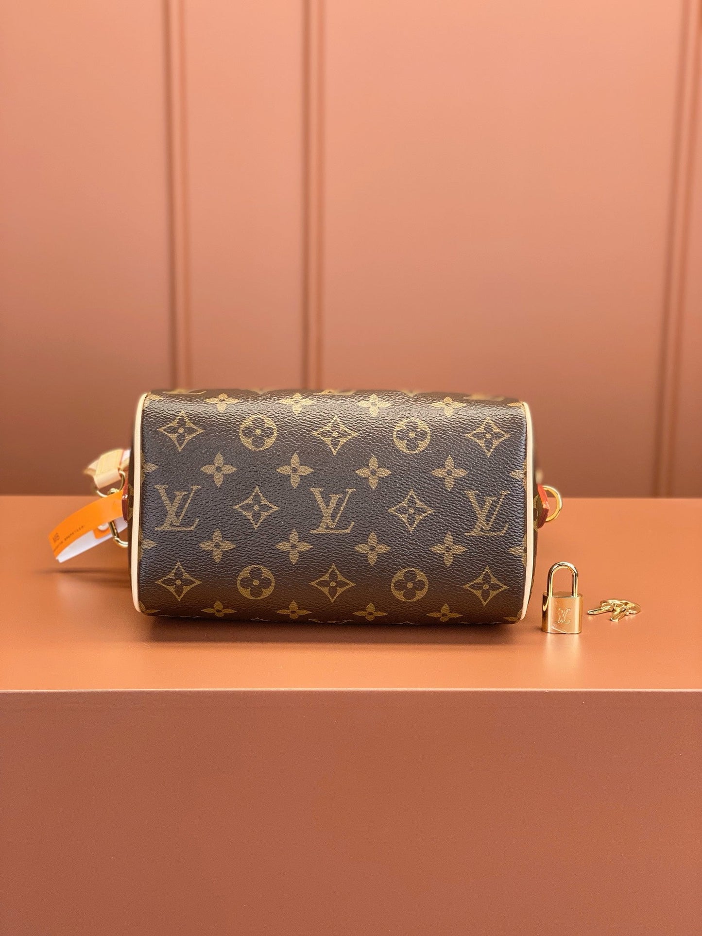 Speedy Bandoulière 20 Monogramm-Handtaschen