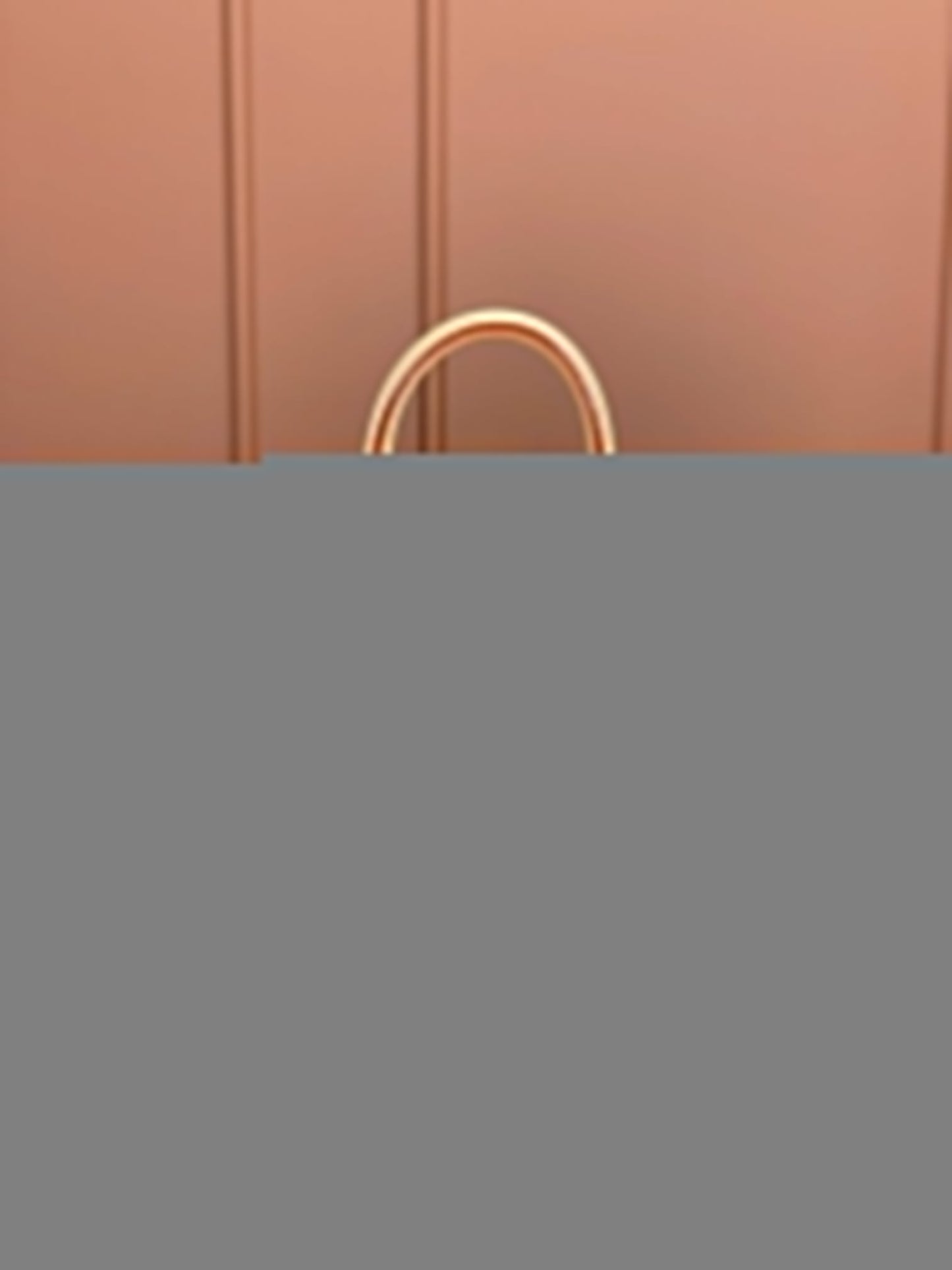 Speedy Bandoulière 20 Monogramm-Handtaschen