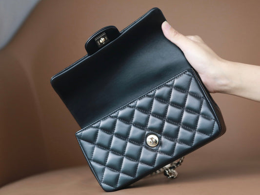 Mini Rectangular Flap with Top Handle