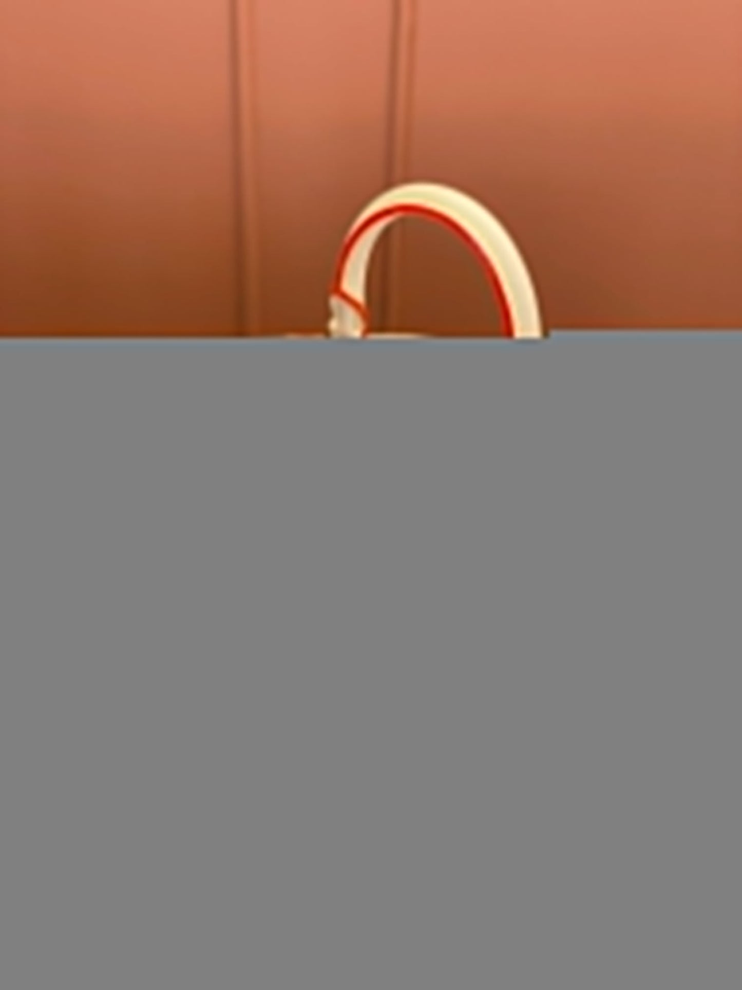 Speedy Bandoulière 20 Monogramm-Handtaschen